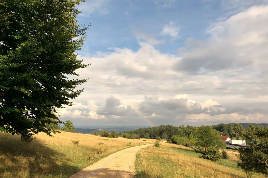 Ein Feldweg führt über eine sommerliche Anhöhe, am Horizont steht ein Regenbogen über Wald und Wiesen.