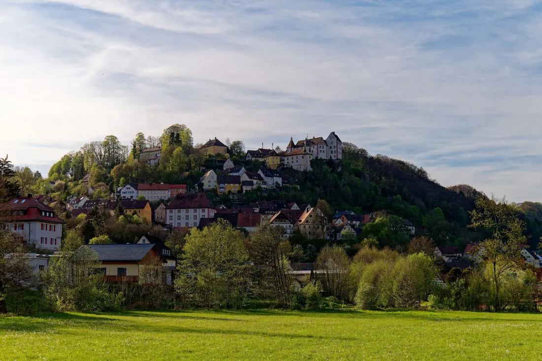 Kleinstadt an einem bewaldeten Hang, oben eine kleine Burg, davor Wohnhäuser und eine grüne Wiese.